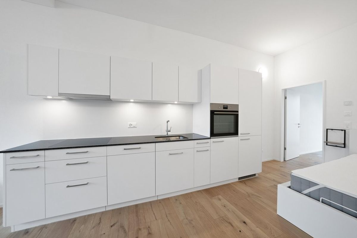 Modernes Möbliertes Studio im Erdgeschoss in Neukirch - 1
