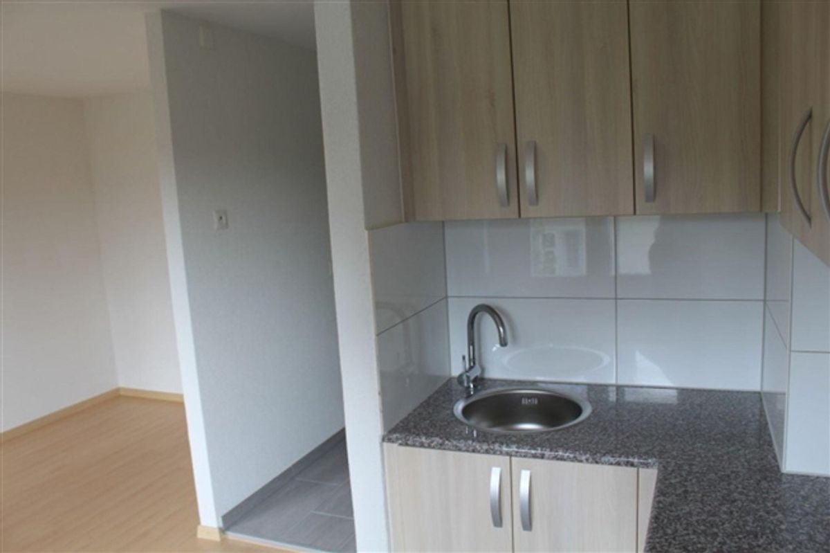 Gemütliches 1-Zimmer-Apartment in Zuchwil  ab sofort verfügbar - 1
