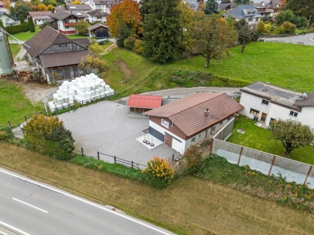 Top Angebot! Pferdeparadiesli im Simmental - Berner Oberland - 3
