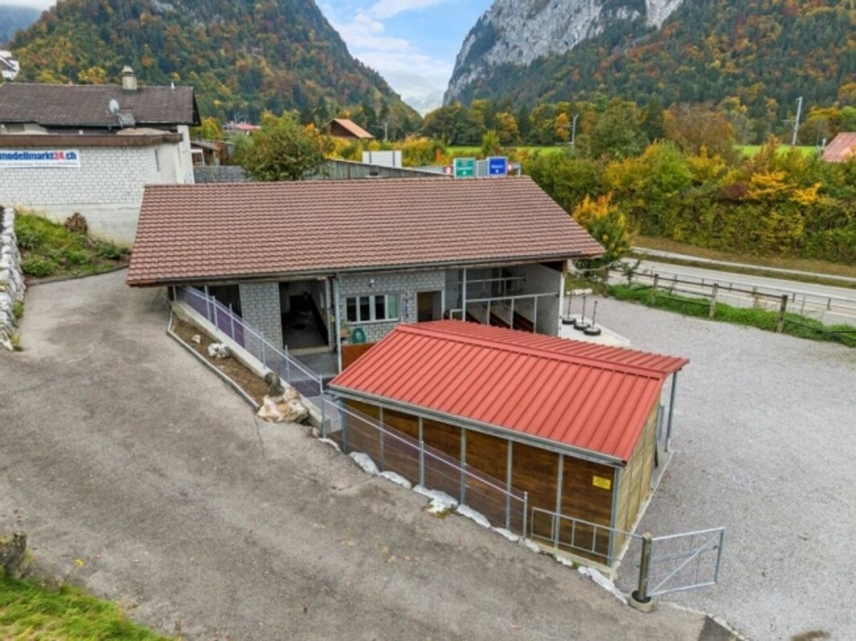 Top Angebot! Pferdeparadiesli im Simmental - Berner Oberland - 4