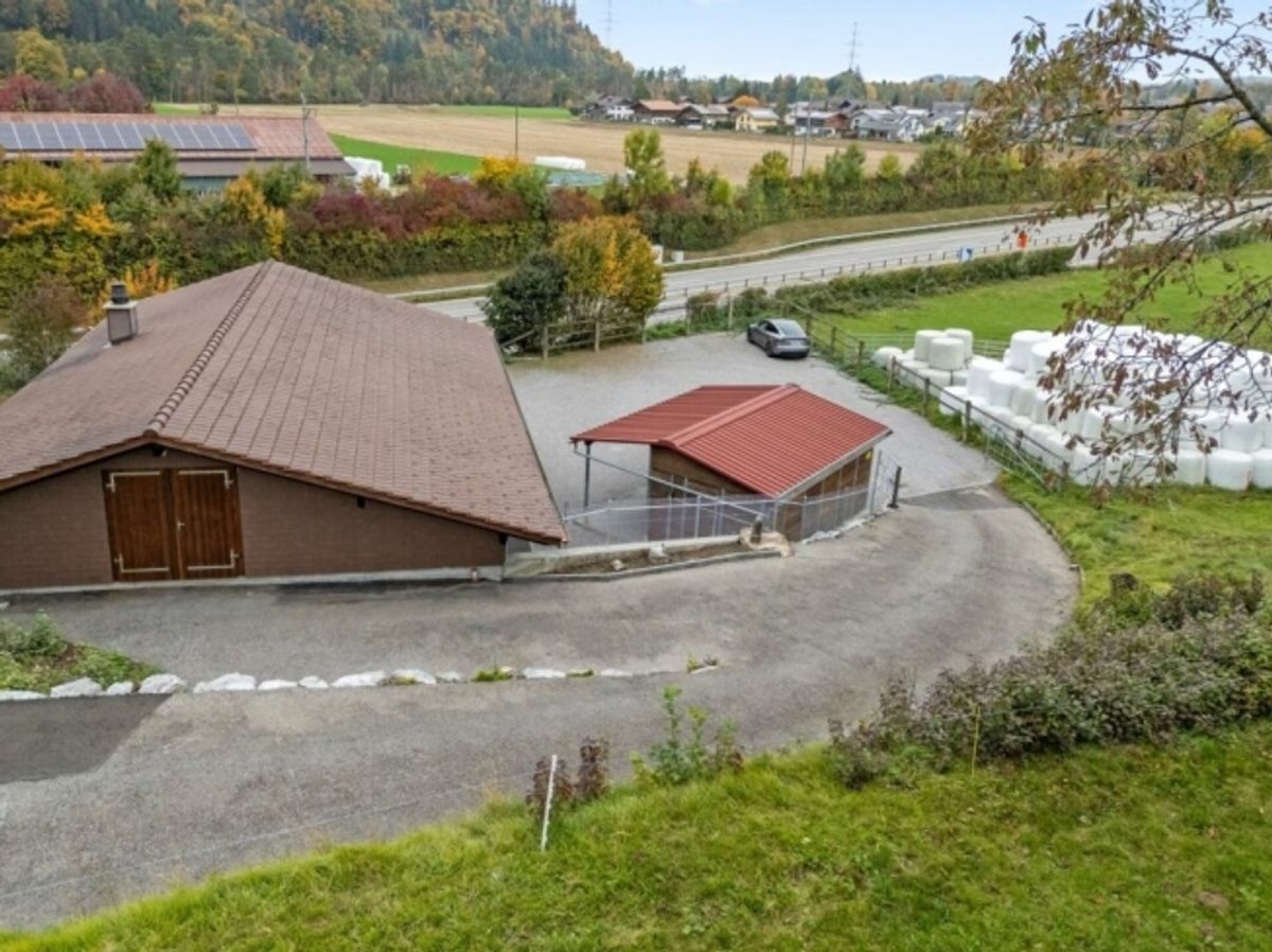 Top Angebot! Pferdeparadiesli im Simmental - Berner Oberland - 5