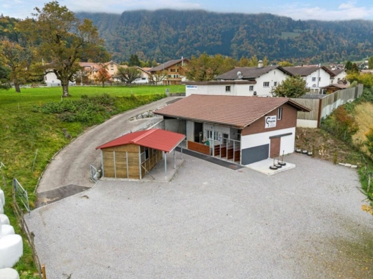 Top Angebot! Pferdeparadiesli im Simmental - Berner Oberland - 1