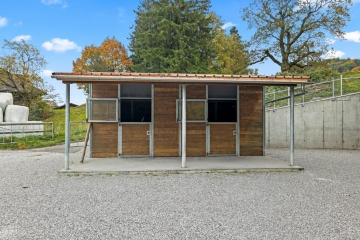 Top Angebot! Pferdeparadiesli im Simmental - Berner Oberland - 10