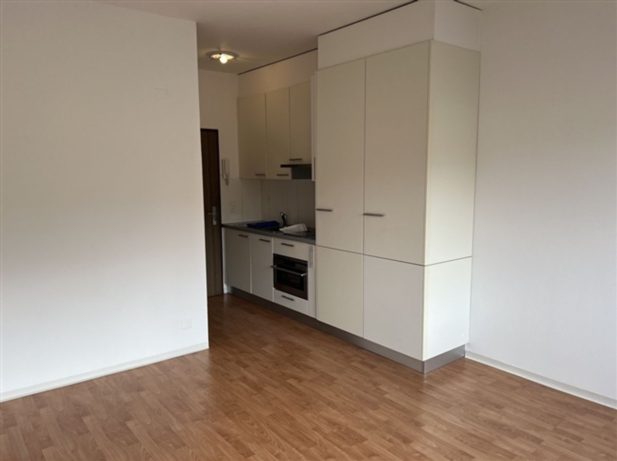 ZU VERMIETEN IN BELLIZONA NORD HÜBSCHES EINZIMMERAPARTMENT - 2