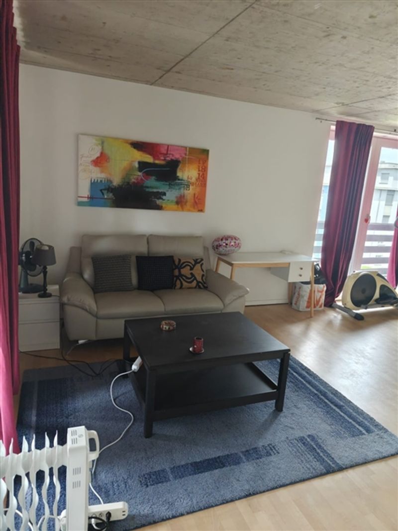Voll möblierte 2-5-Zimmer-Wohnung zur Miete in Wallisellen (Melchrütistraße 14) - 3