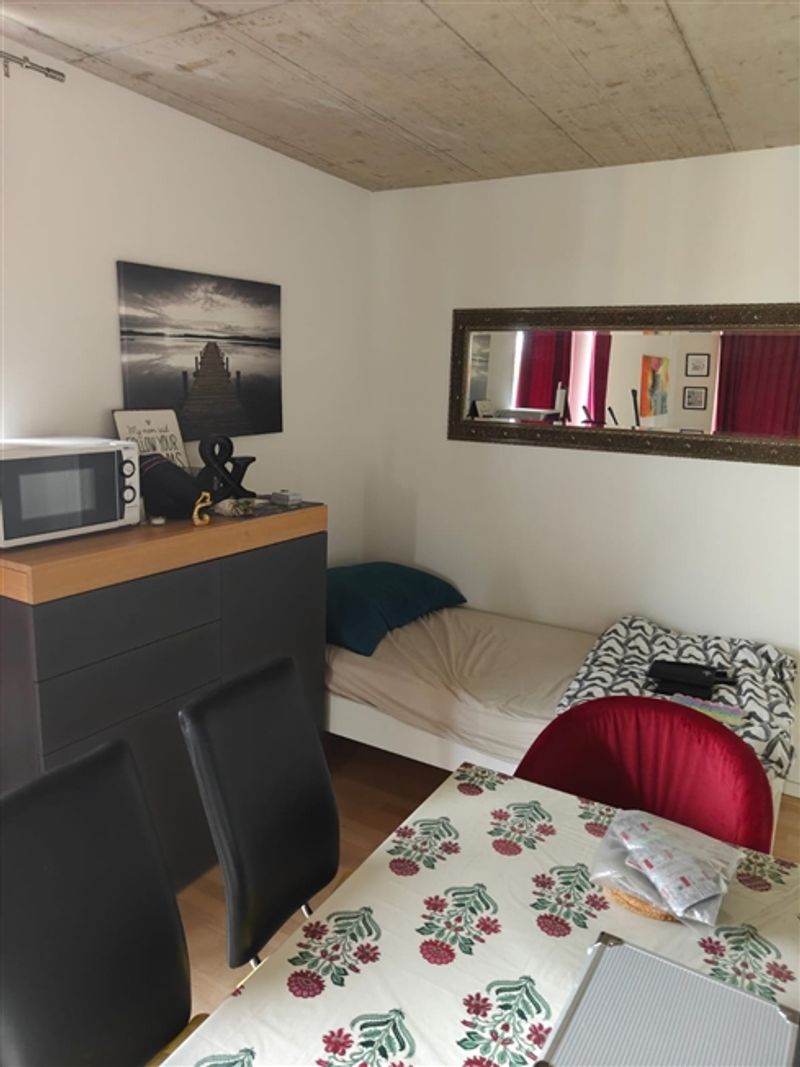 Voll möblierte 2-5-Zimmer-Wohnung zur Miete in Wallisellen (Melchrütistraße 14) - 8