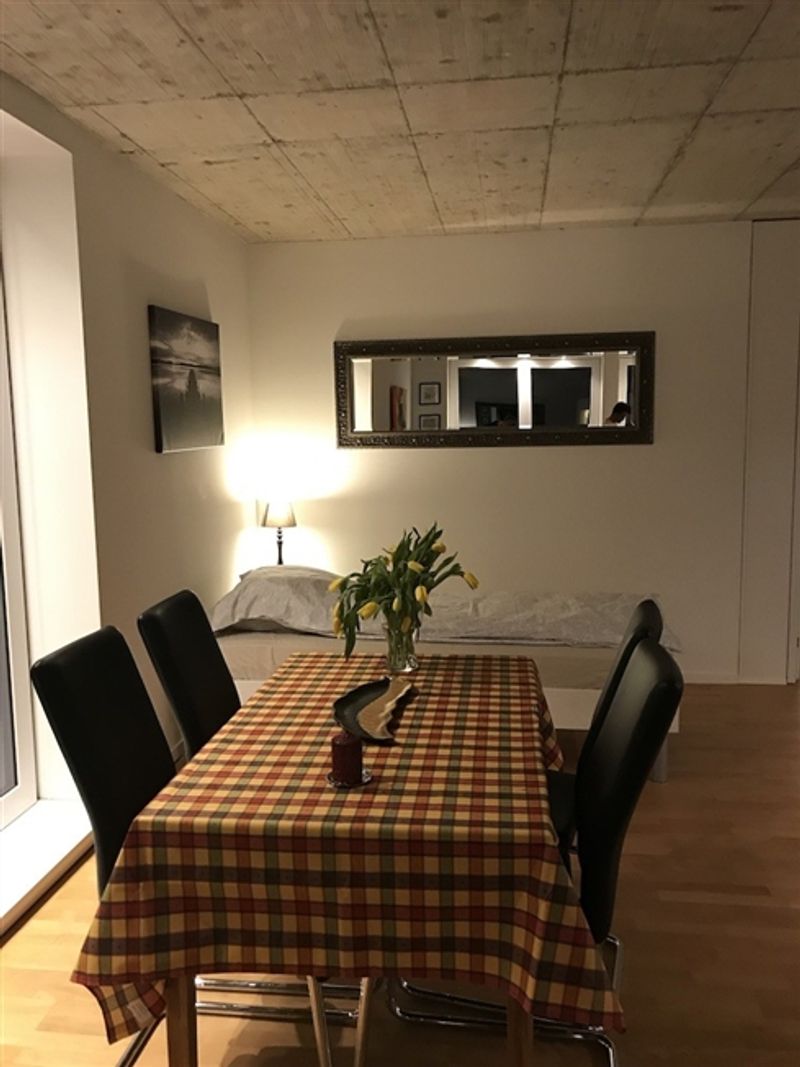 Voll möblierte 2-5-Zimmer-Wohnung zur Miete in Wallisellen (Melchrütistraße 14) - 9