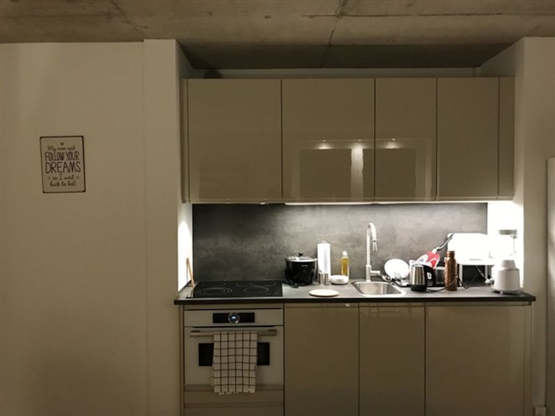 Voll möblierte 2-5-Zimmer-Wohnung zur Miete in Wallisellen (Melchrütistraße 14) - 10