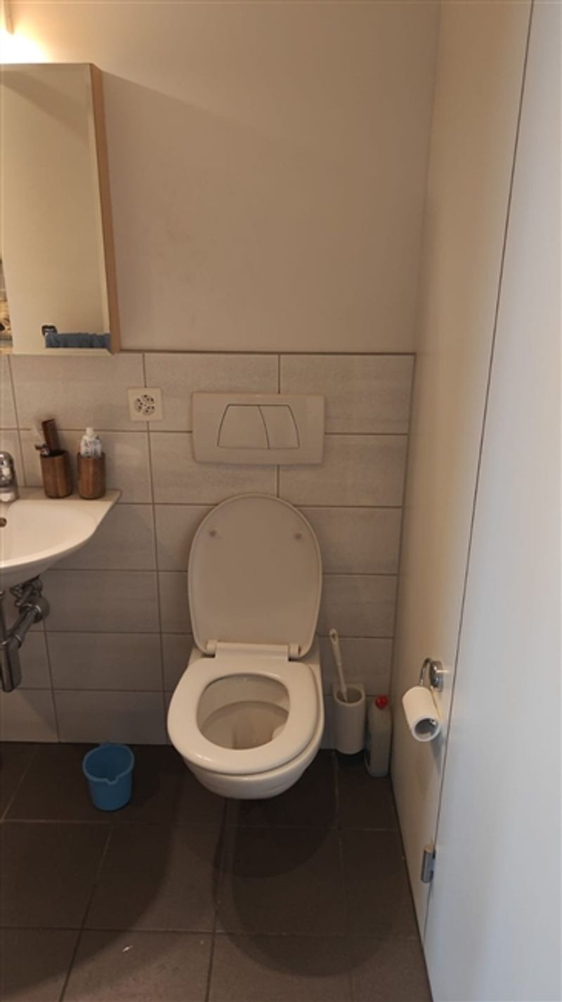 Voll möblierte 2-5-Zimmer-Wohnung zur Miete in Wallisellen (Melchrütistraße 14) - 12