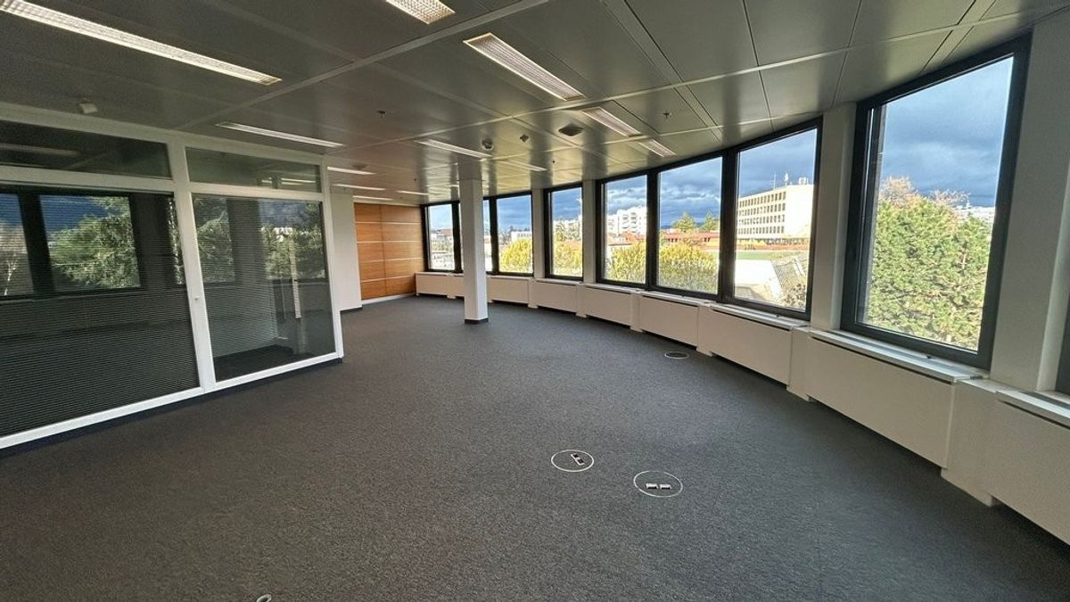 Bureau 329 m2 - Avenue des Morgines 12, Petit-Lancy - 3