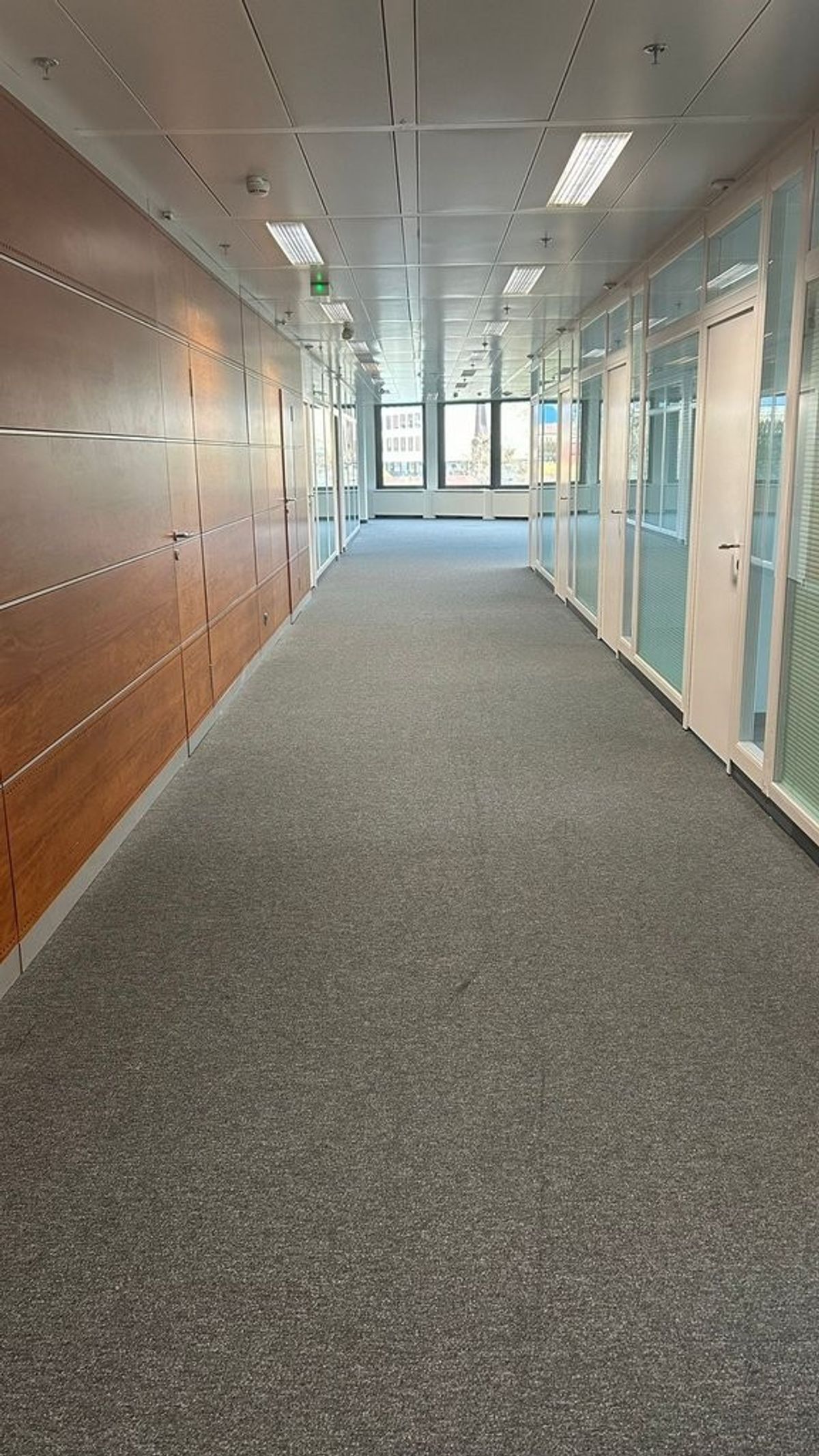 Bureau 329 m2 - Avenue des Morgines 12, Petit-Lancy - 4