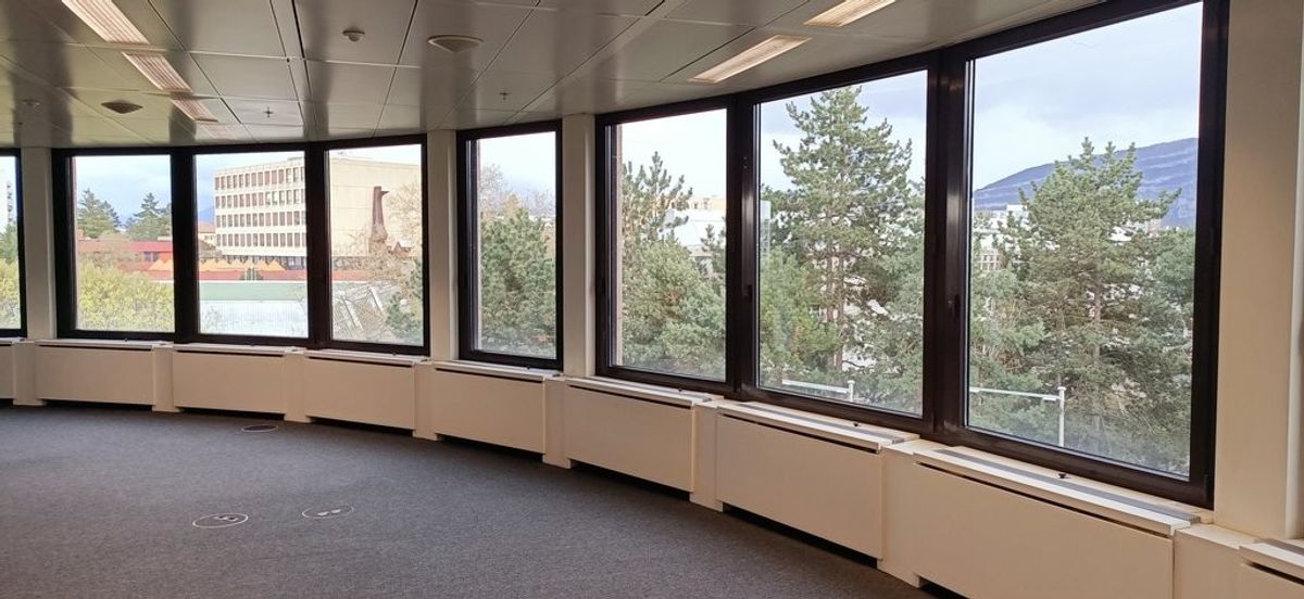 Bureau 329 m2 - Avenue des Morgines 12, Petit-Lancy - 6