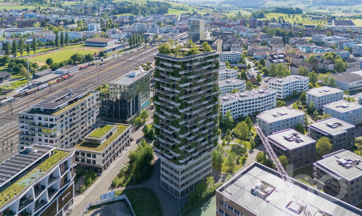 Wohnung in Rotkreuz - 0