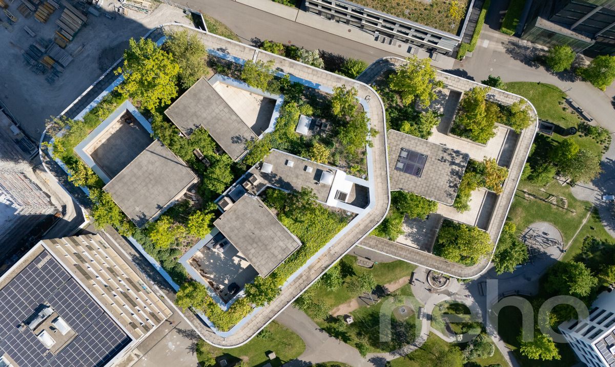 Wohnung in Rotkreuz - 1