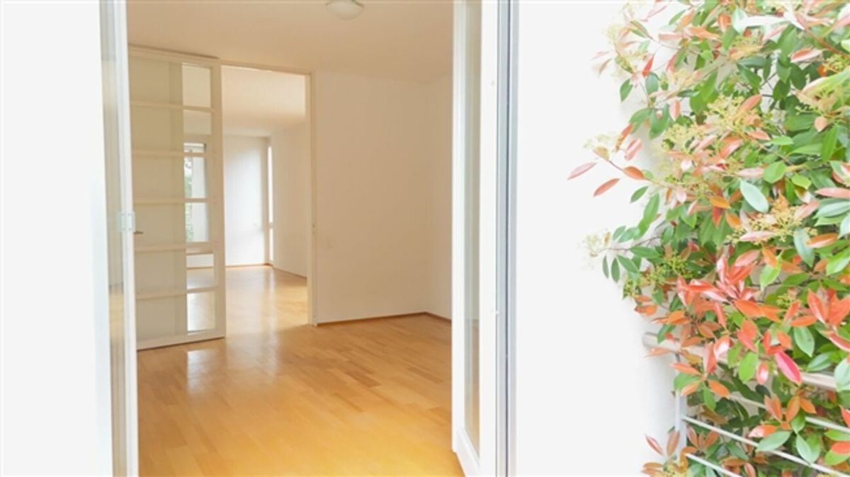 Renovierte Wohnung mit Cheminée, 2 Terrassen und Ziergarten - Bruderholz - 1