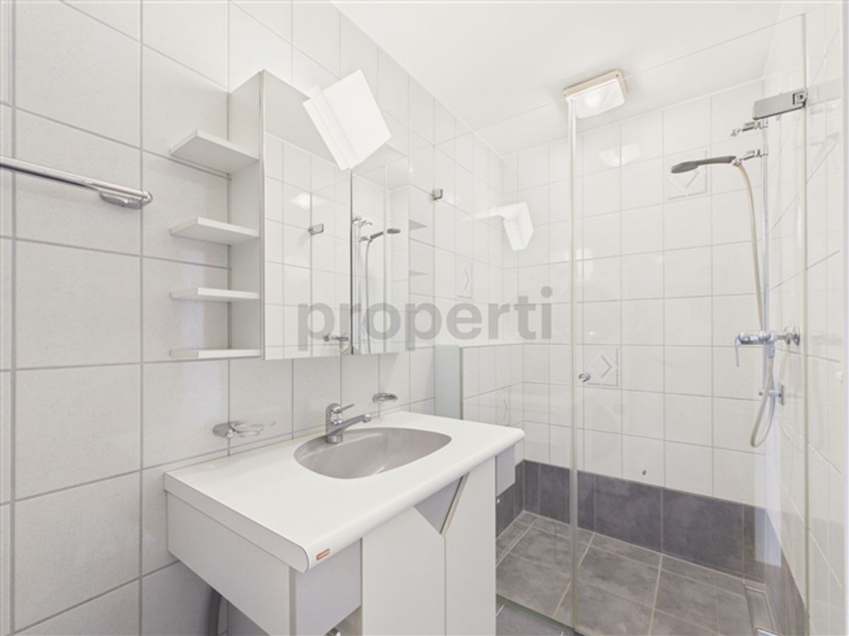 Neu renovierte 4.5-Zimmer-Elegantwohnung mit eigenem Parkplatz, Bubendorf - 9