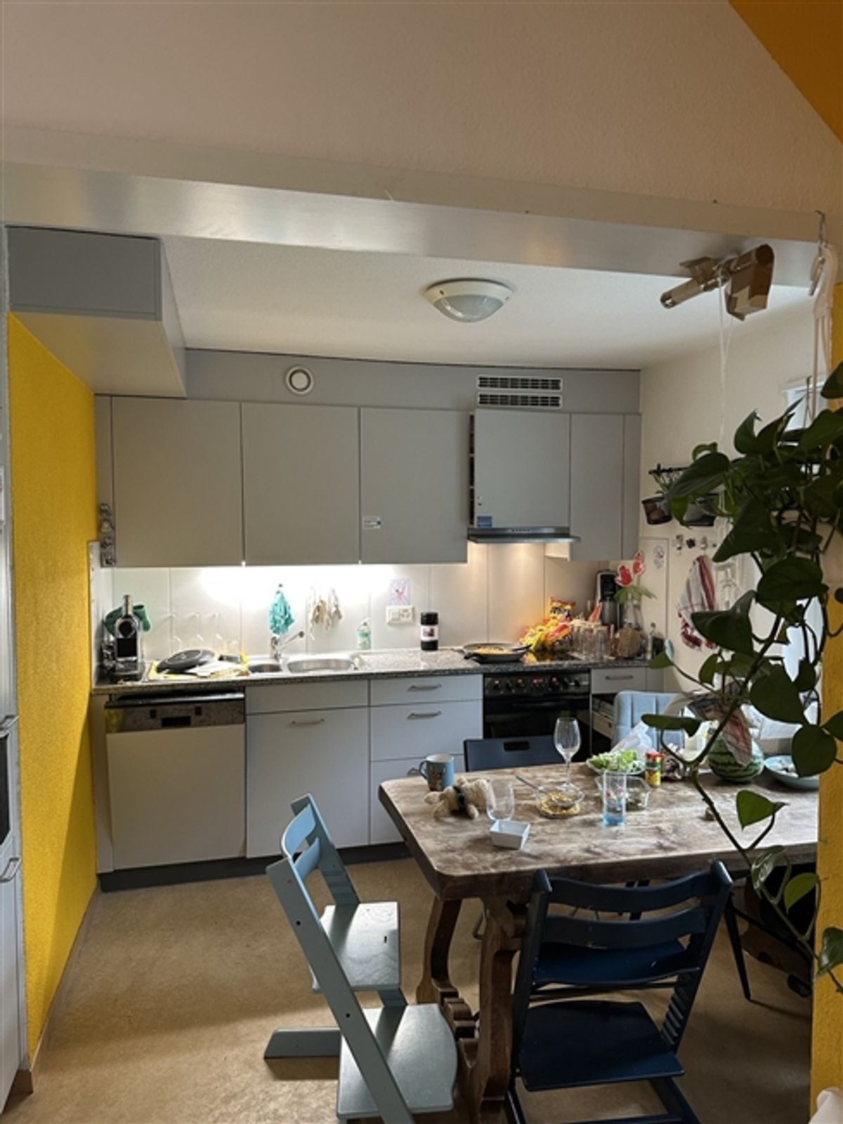 2 ZI-WOHNUNG IN EFFRETIKON (ZH), MÖBLIERT, TEMPORÄR - 2