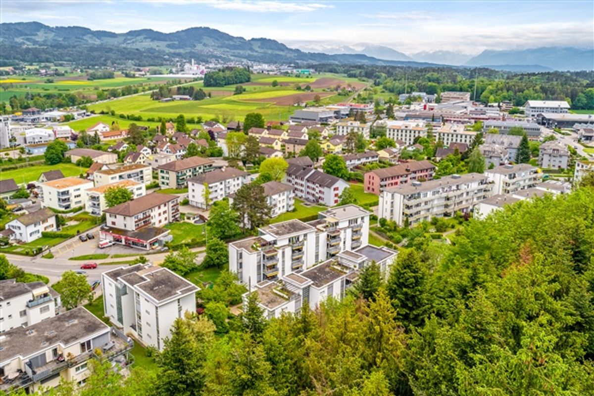 Gemütliche Wohnung mit natürlich grüner Umgebung - 1