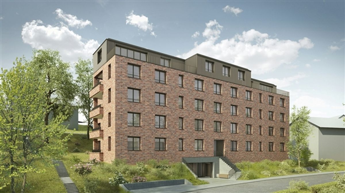Moderne Wohnung - Neubau 2024 - 0