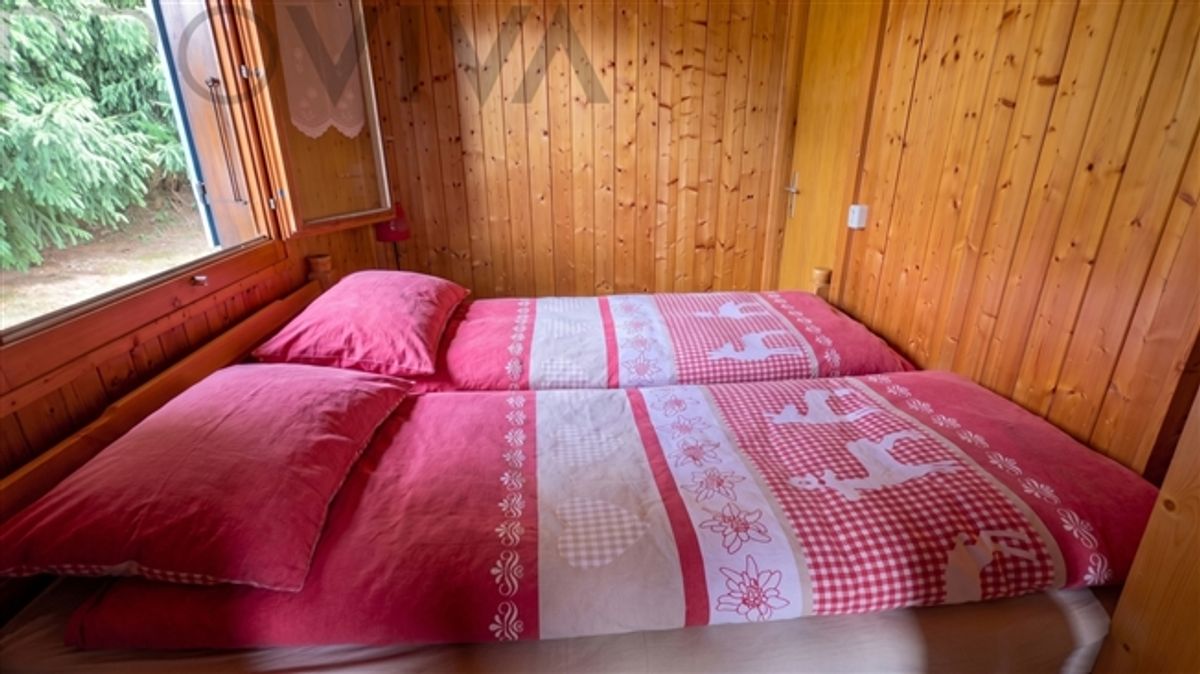 Privat, sonnig, gemütlich – Ihr Erholungsparadies - 6