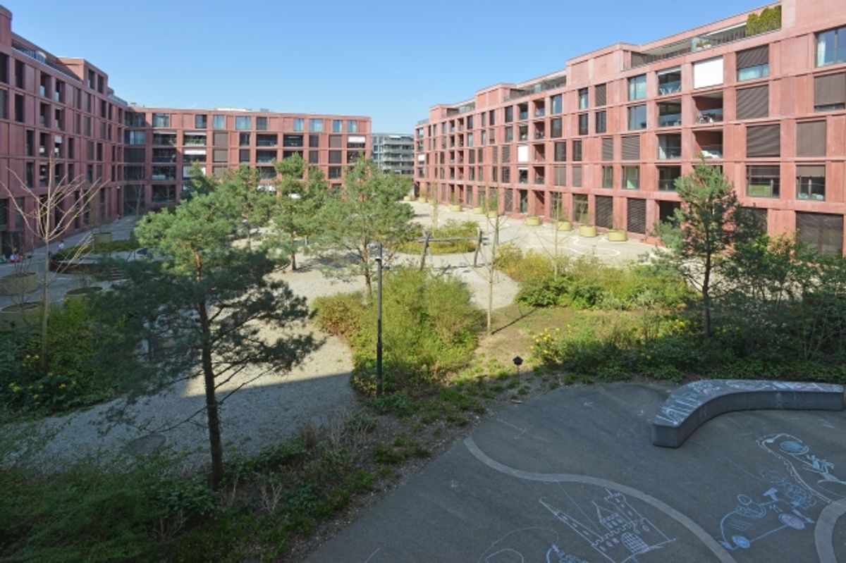 ROY -  erlebe das neue Winterthur! - 0