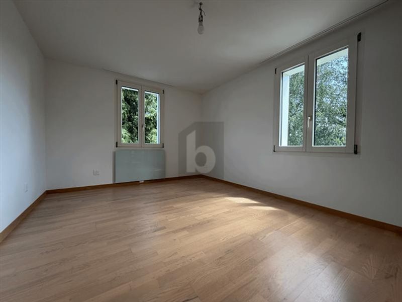 RUHIGE LAGE, SONNIGER BALKON, BLICK AUF RIGI - 4