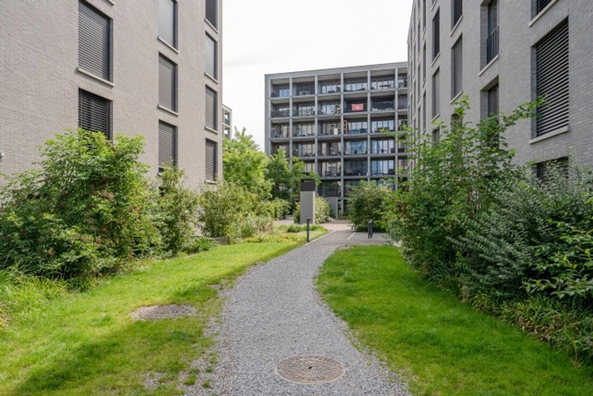 IM GUSS - Leben mit WohnGefühl - 0