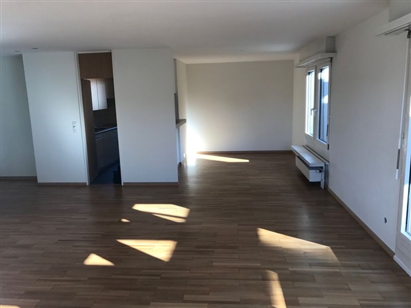 Wohntraum Attika - im bevorzugten Haslenquartier mit 2 Terrassen - 6
