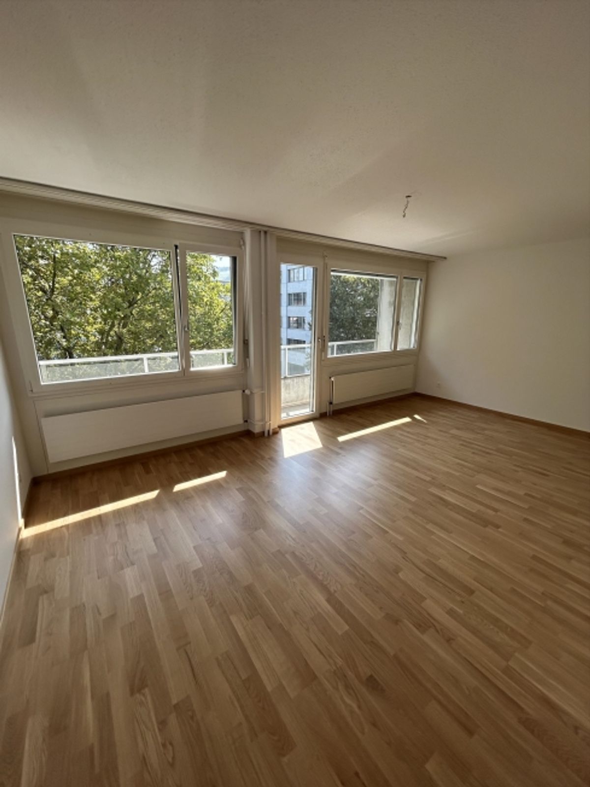 Single-Wohnung am Stadtrand von Zug - 1