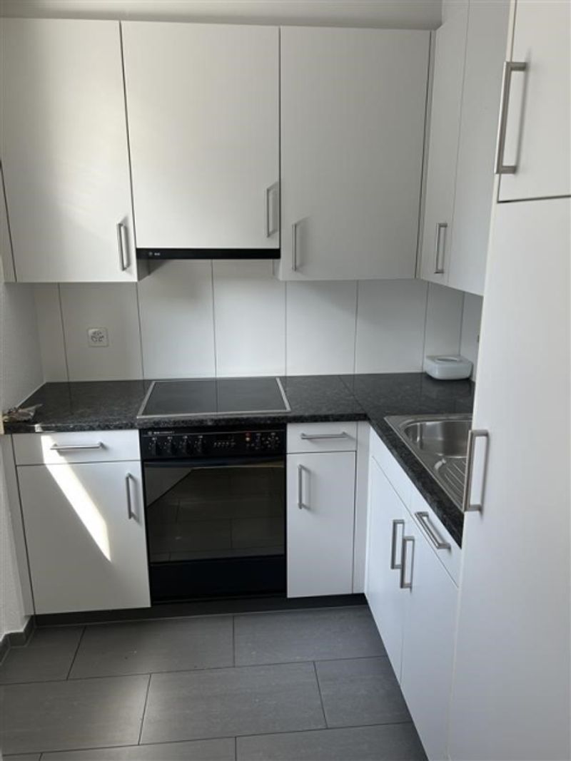 Single-Wohnung am Stadtrand von Zug - 3