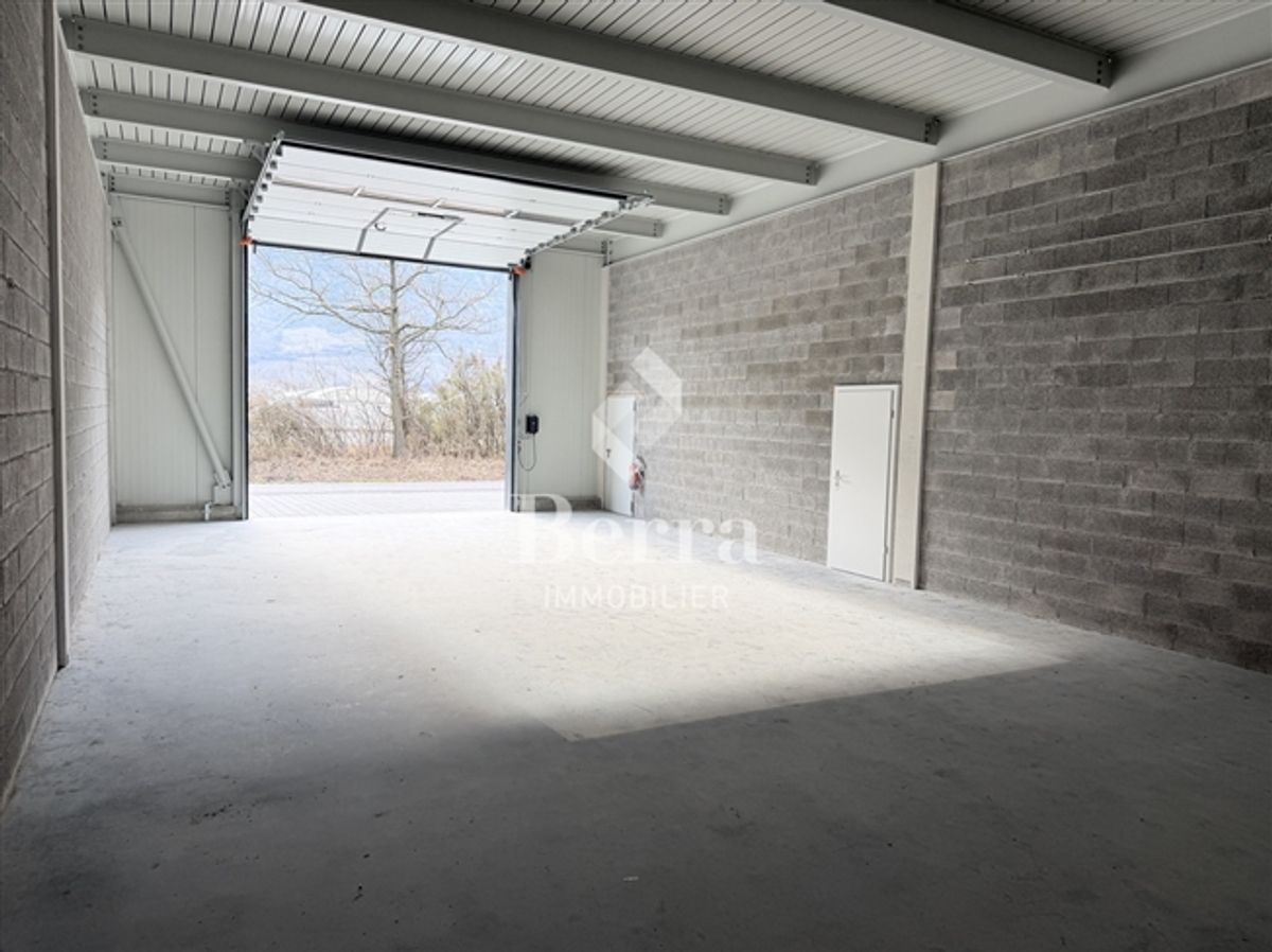 Letzte Halle von mehr als 200m2 verfügbar! - 3