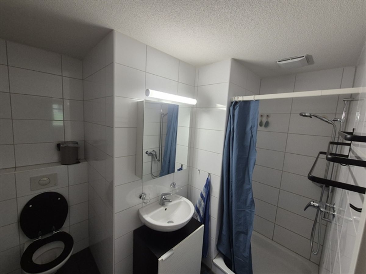 3½ ZI-WOHNUNG IN GEBENSTORF (AG), MÖBLIERT, TEMPORÄR - 6