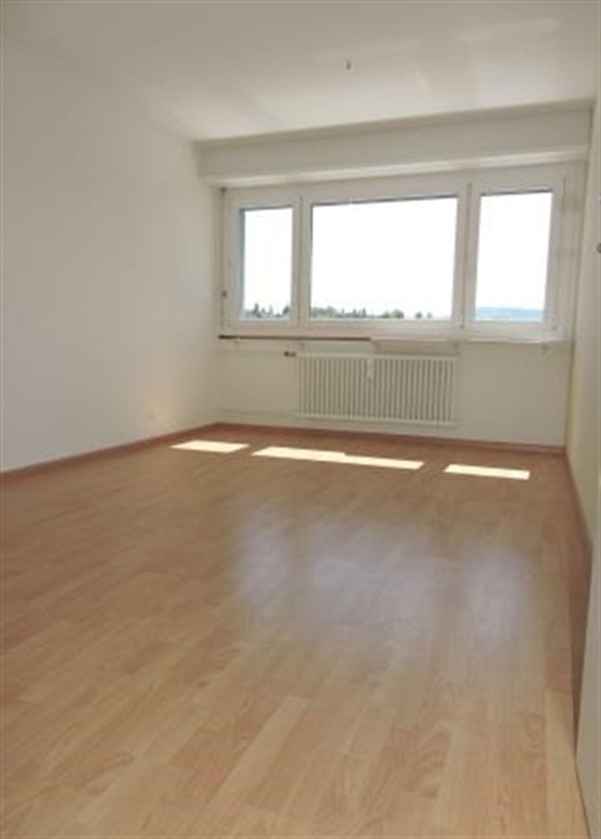 Singles aufgepasst Charmante 1-Zimmerwohnung in Therwil - 1