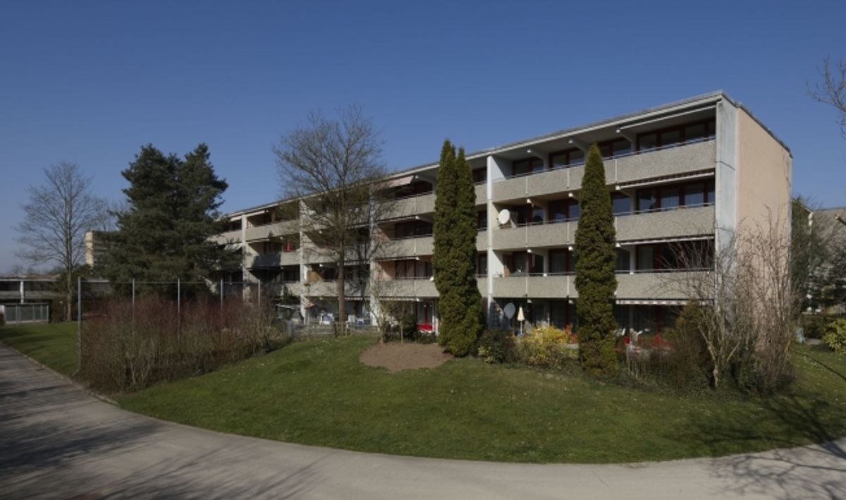 Herrlich grüne Umgebung - 0