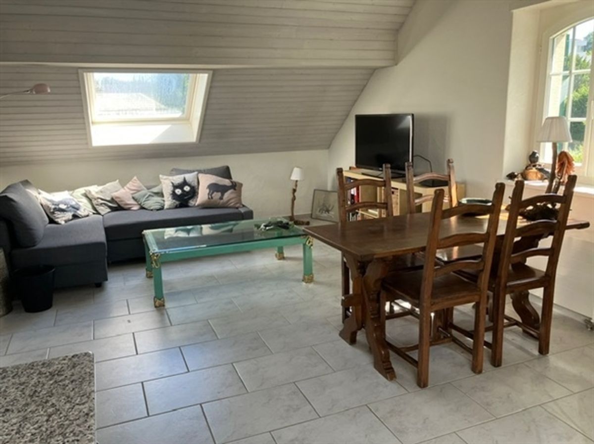 2½ ZIMMER-DACHWOHNUNG IN DIELSDORF (ZH), MÖBLIERT, TEMPORÄR - 0