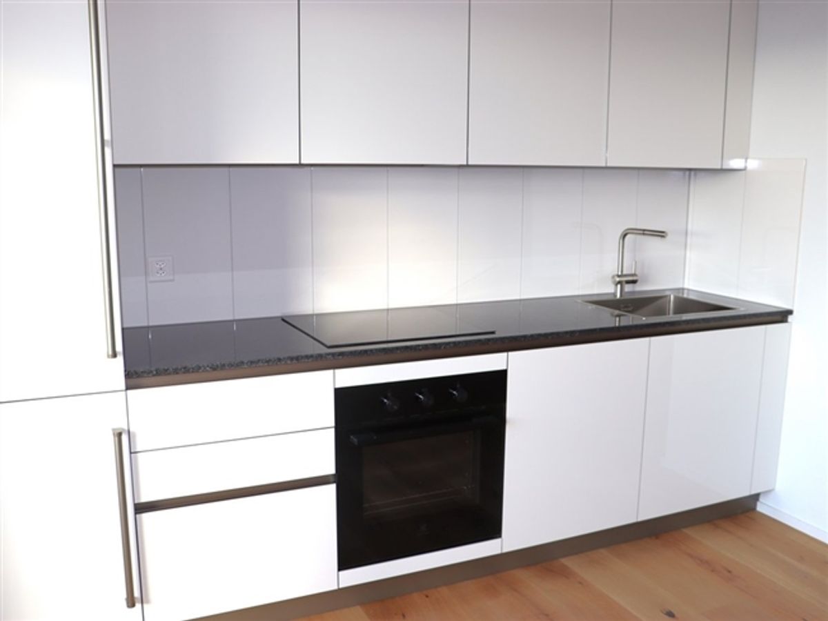 Modern renovierte 1-Zimmer-Wohnung an attraktiver Lage - 1