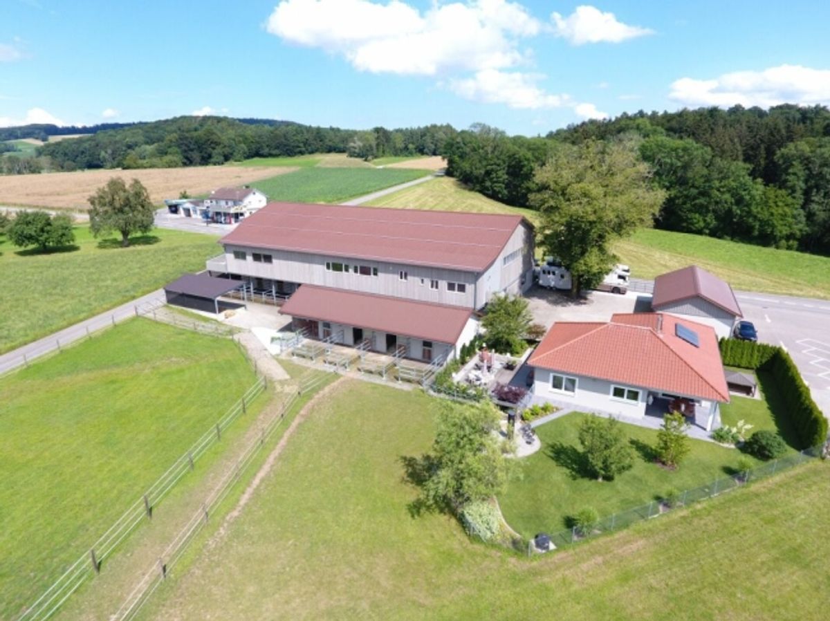 Reitsportimmobilie mit Haus und Reithalle - 0