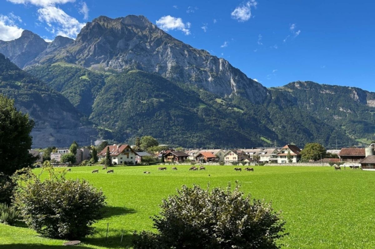 6.5 Zimmerwohnung an toller Lage - für Familien die viel Platz schätzen - 1