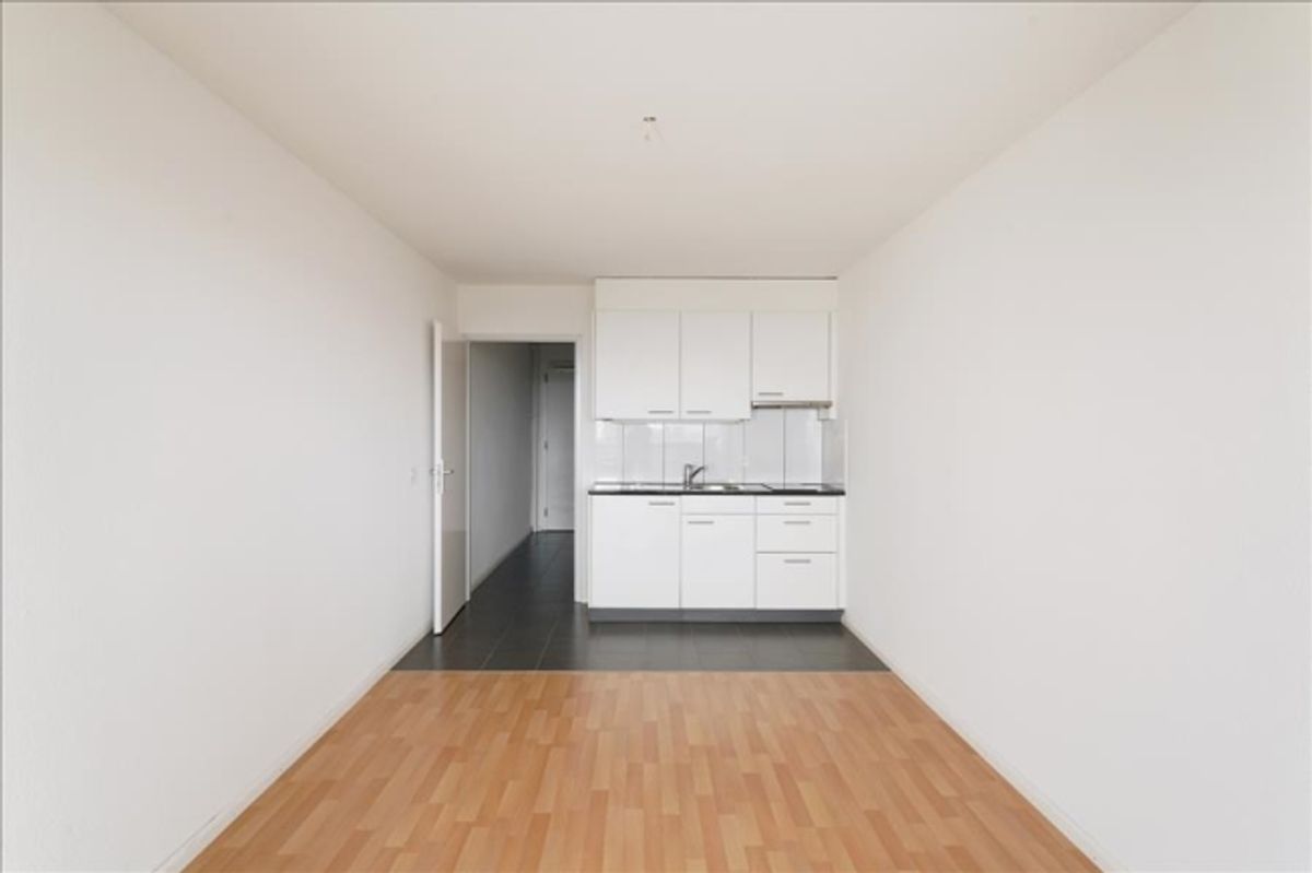 1-helles Wohnzimmer mit integrierter Küche - 2