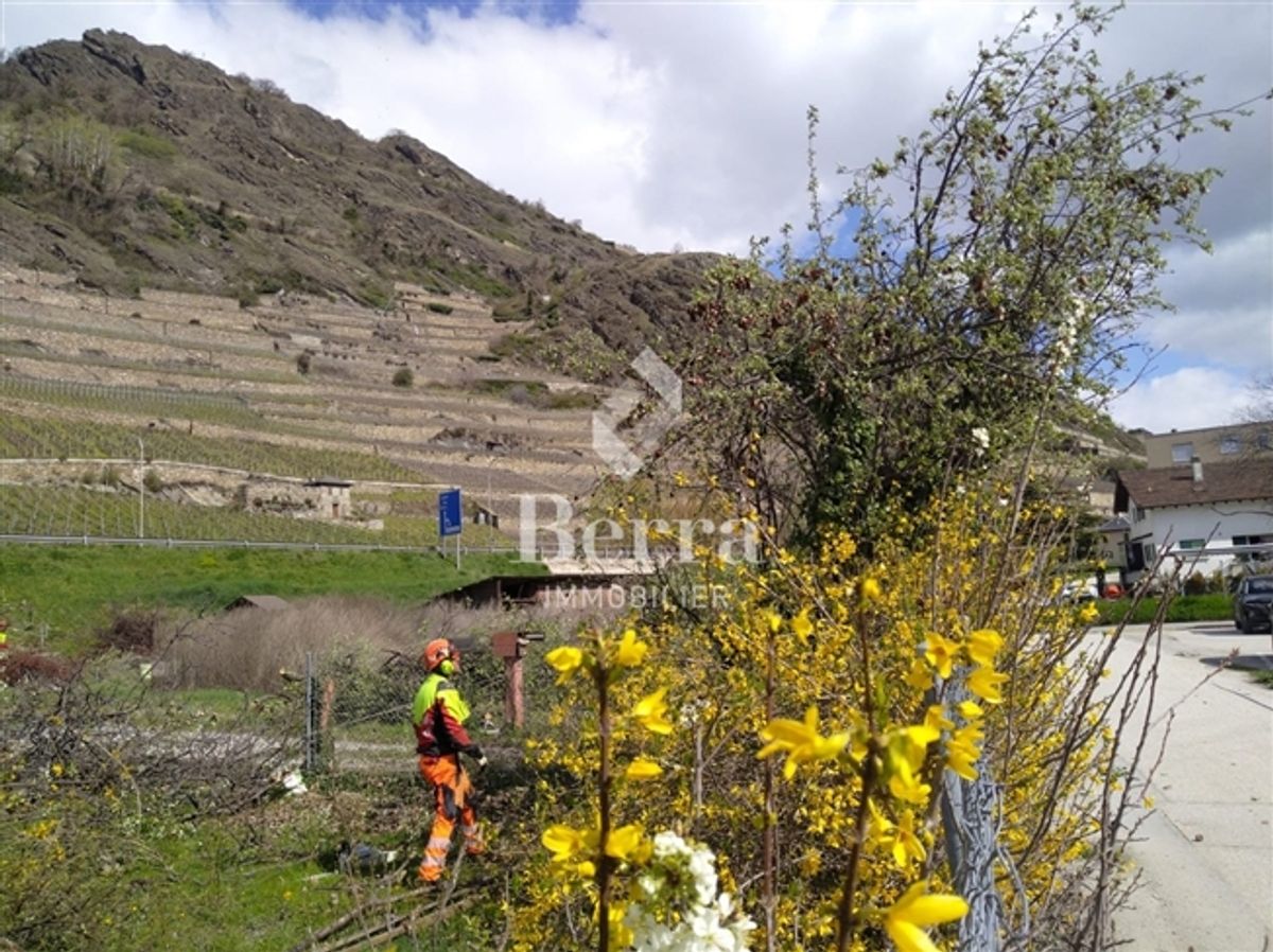 Portachon – Chateauneuf Sion - 14
