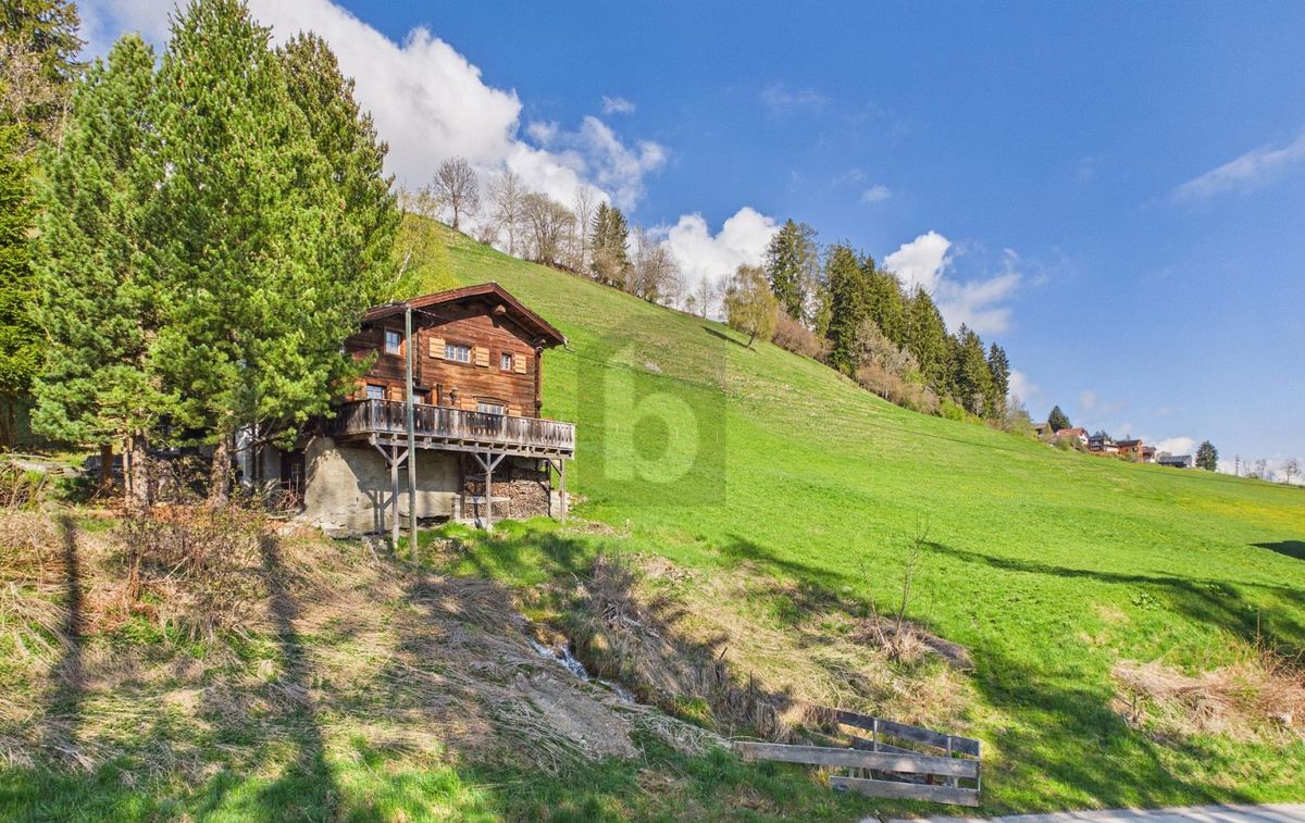 BERG-IDYLLE AM HEINZENBERG - 0