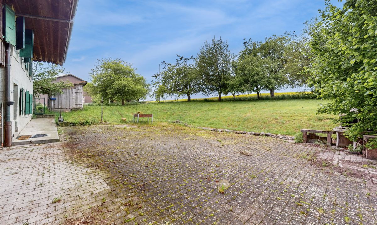 Magnificent farmhouse to renovate in absolute calm in Brenles - 6