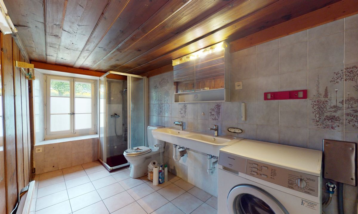 Magnificent farmhouse to renovate in absolute calm in Brenles - 8