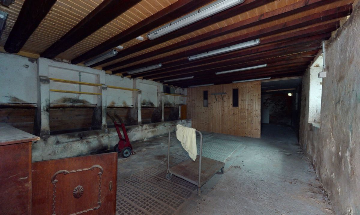 Magnificent farmhouse to renovate in absolute calm in Brenles - 10