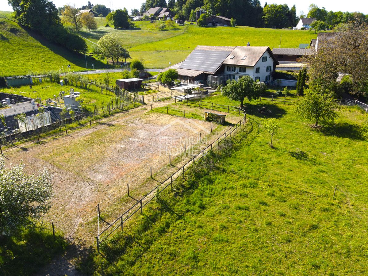 Ein Ort zum Leben, Lieben und Reiten - 2