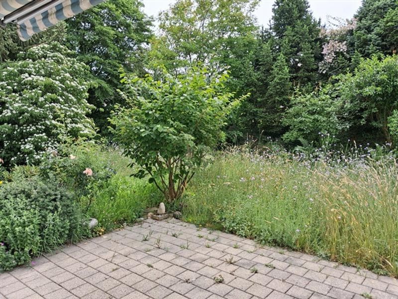 RUHIG MIT GEMÜTLICHEM SITZPLATZ - 5