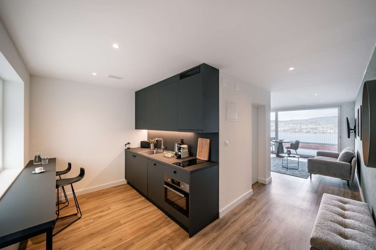 Neubau-Apartment mit Seesicht in Horgen/Zürich - 1