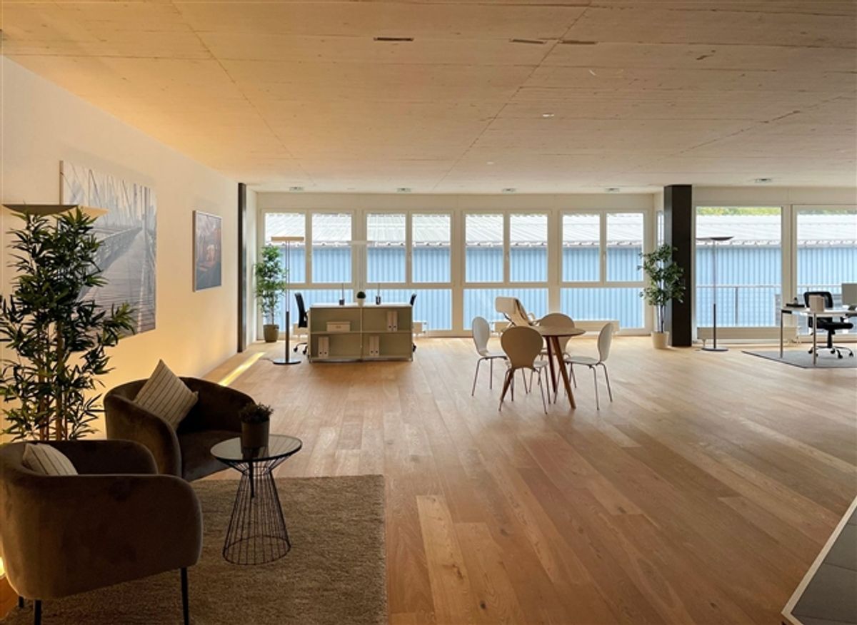 Helle Büro-/Gewerbefläche mit Sitzungszimmer, Küche und Nasszelle - 3