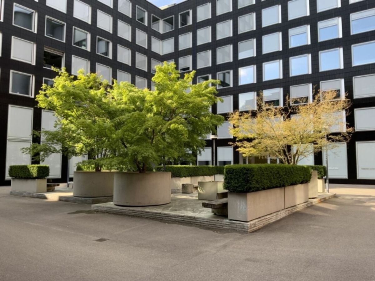 Loft für Wohnen und Arbeiten - 0