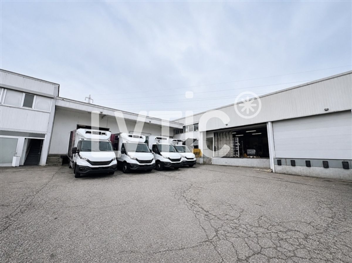 Industriegebäude von 1100 m2 zum Verkauf in Villars-Sainte-Croix - 5